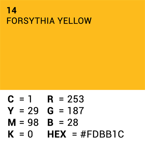 Superior Hintergrund Papier 14 Forsythia Yellow 1,35 x 11m — 5