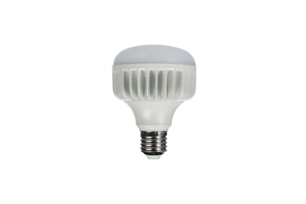 StudioKing LED Tageslicht Lampe 25W E27 FLED-25