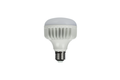 StudioKing LED Tageslicht Lampe 25W E27 FLED-25