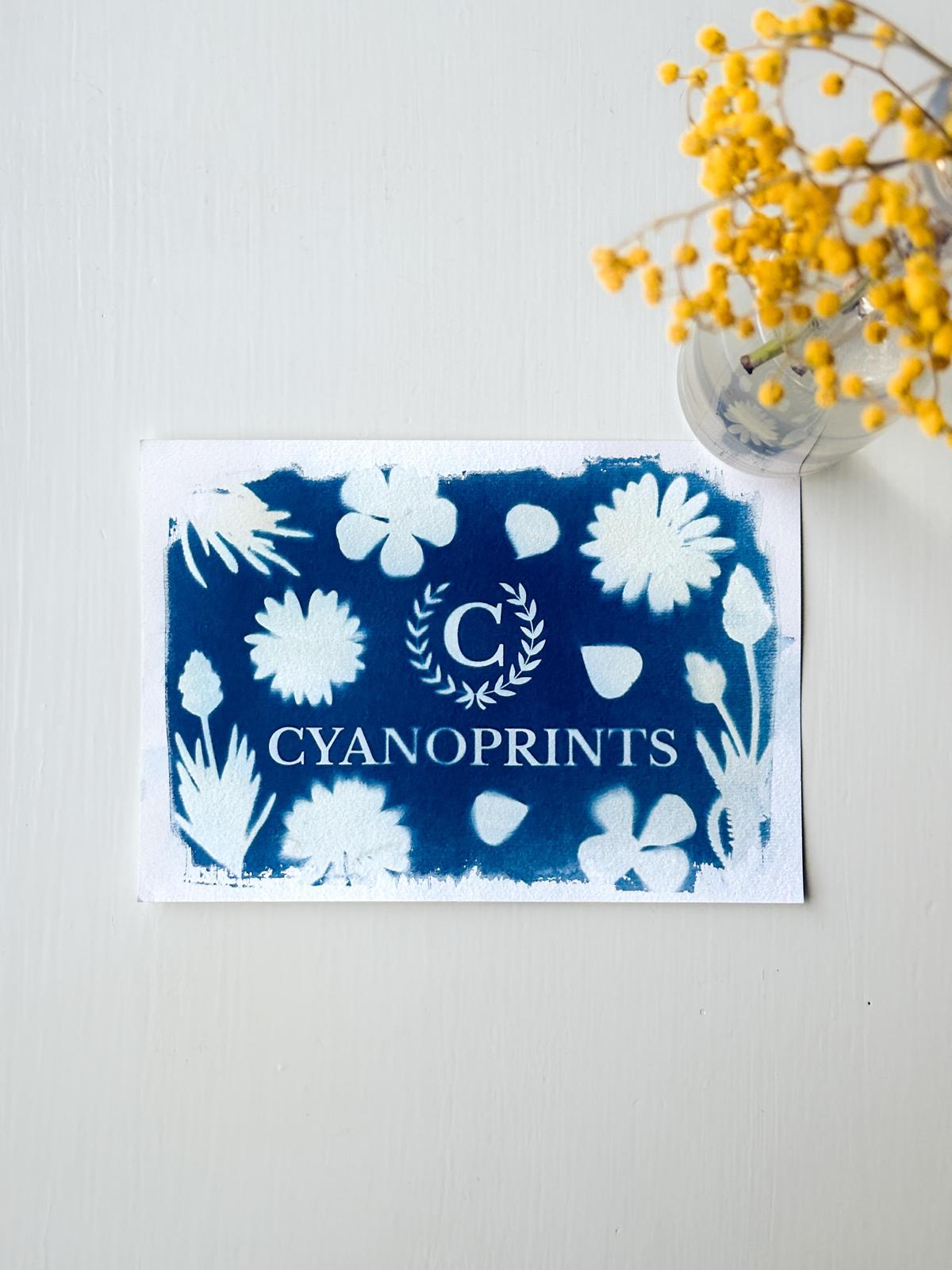 Artistieke cyanotype print met planten en bloemen, centraal het logo van Cyanoprints
