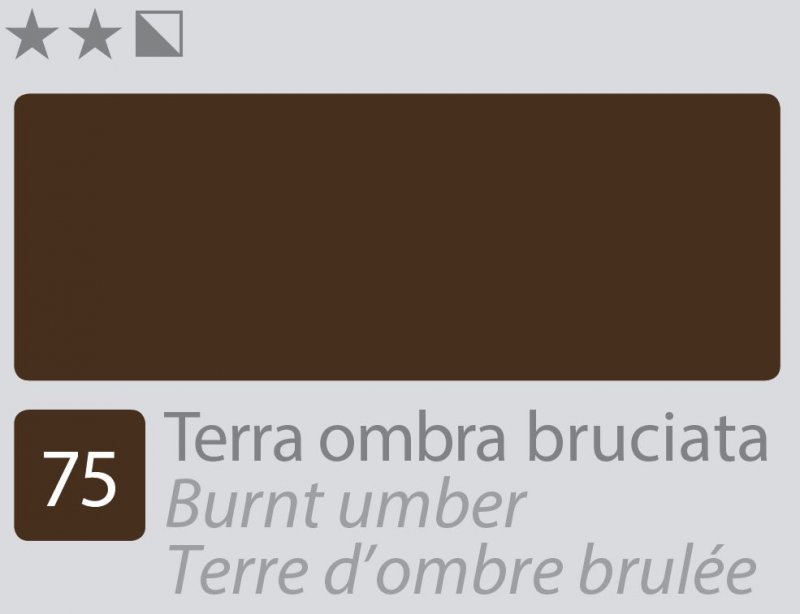 Divolo Accademia Ölfarbe 20 ml - Burnt Umber