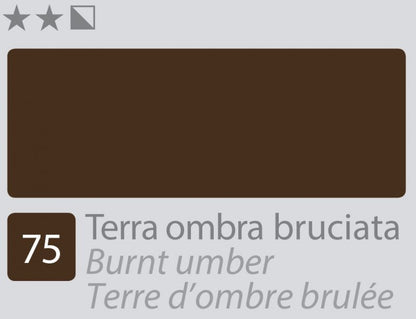 Divolo Accademia Ölfarbe 20 ml - Burnt Umber