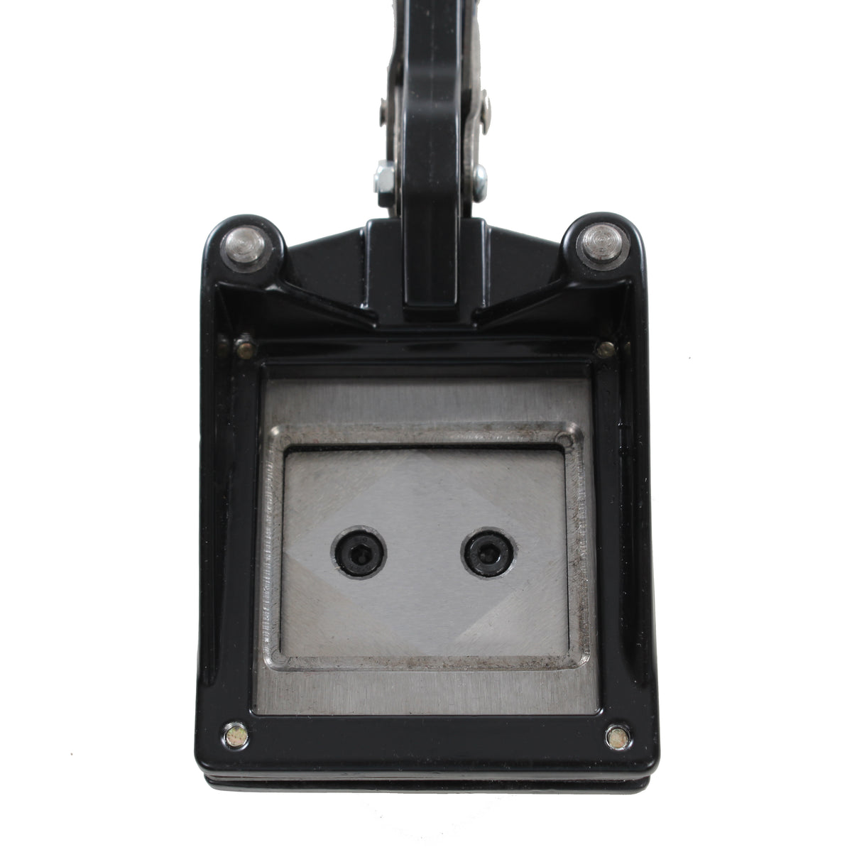 Paßbild Schneidezange 45x35 mm — 3