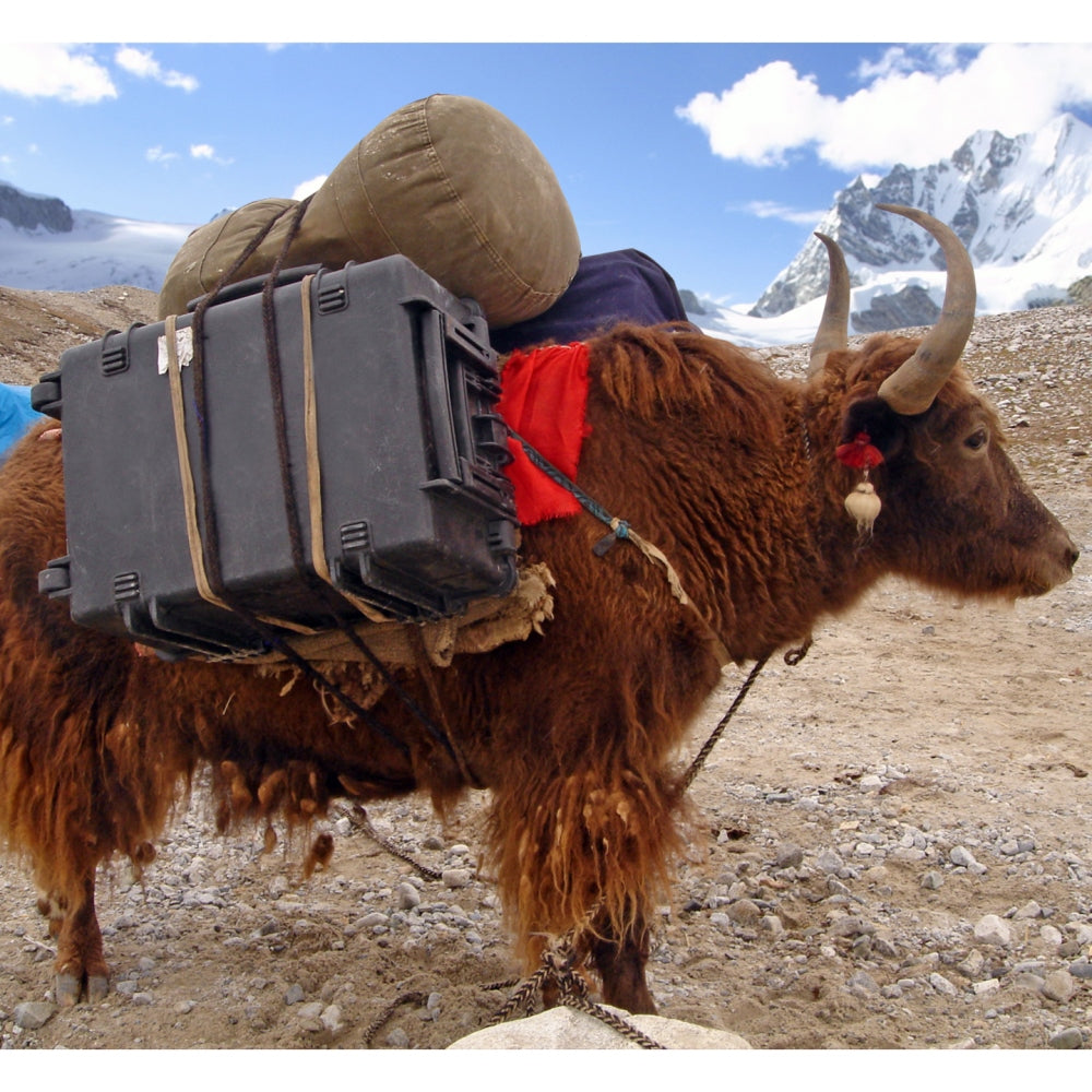 Explorer Cases 5833 Koffer Schwarz — 5
