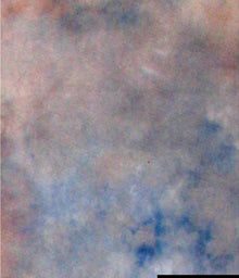 Falcon Eyes Stoffhintergrund S122 2,9x7 m