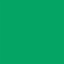 Falcon Eyes Hintergrund Papier 46 Chroma Green 2,18 x11 m