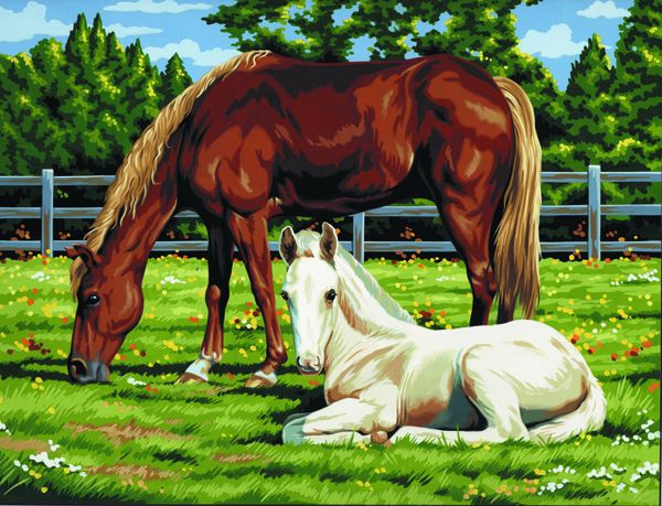 R&L Artist Canvas A3 Schilderen op Nummer