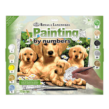 R&L Junior Large A3 Malen nach Zahlen - Golden Retriever & Puppies