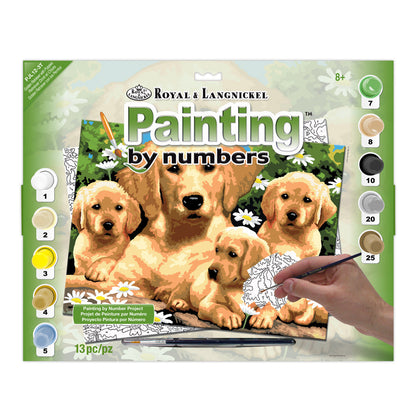 R&L Junior Large A3 Malen nach Zahlen - Golden Retriever & Puppies