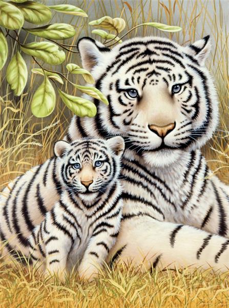 R&L Junior Small A4 Malen nach Zahlen - White Tiger Pair