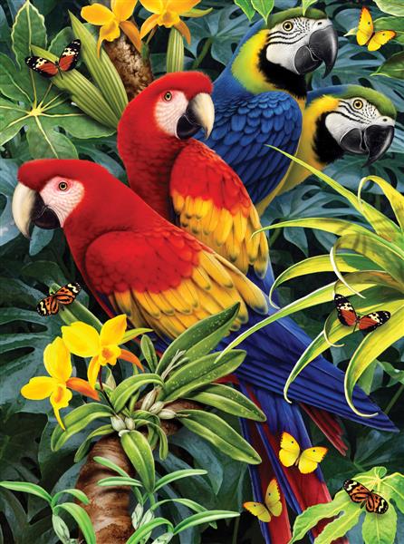 R&L Junior Small A4 Malen nach Zahlen - Majestic Macaws