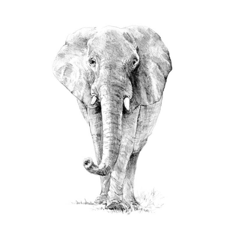 R&L Sketching Made Easy Standard