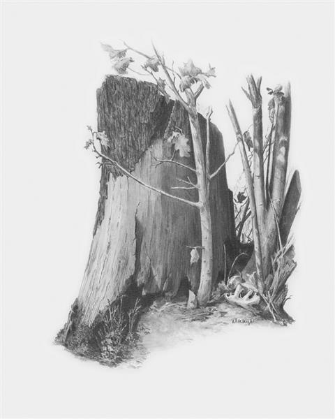 R&L Sketching Made Easy Standard - Tree Stump