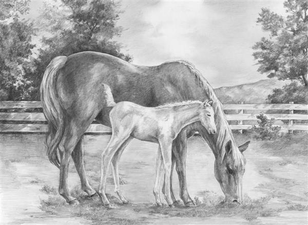 R&L Sketching Made Easy Large