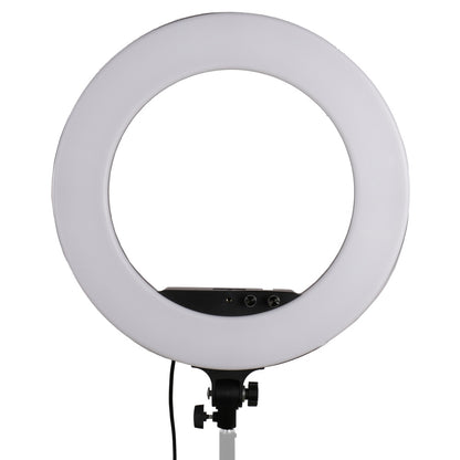 StudioKing LED Ringlampe Set LED-480ASK auf 230V — 2