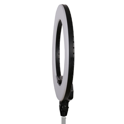 StudioKing LED Ringlampe Set LED-480ASK auf 230V — 7