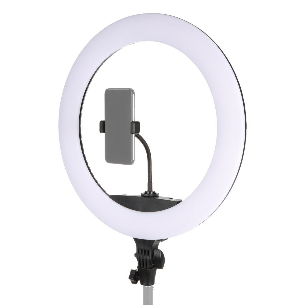 StudioKing LED Ringlampe Set 65W LR-650 — 3