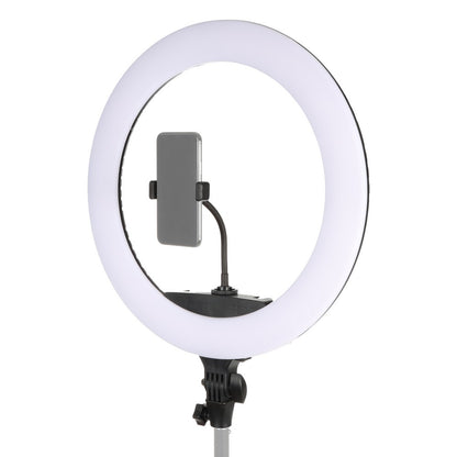 StudioKing LED Ringlampe Set 65W LR-650 — 3