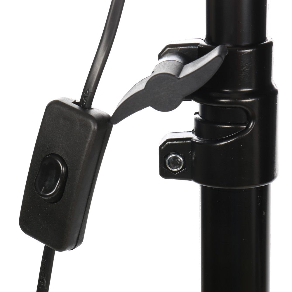 StudioKing Tageslicht Set PK-SB608K 2x85W — 6