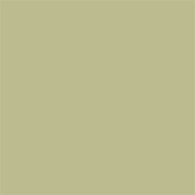 Superior Hintergrund Papier 13 Tropical Green 1,35 x 11m — 2