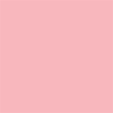 Superior Hintergrund Papier 17 Carnation Pink 1,35 x 11m — 2