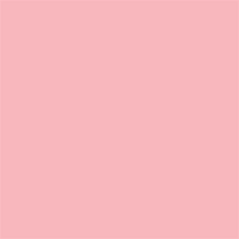 Superior Hintergrund Papier 17 Carnation Pink 1,35 x 11m — 2