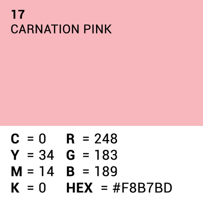 Superior Hintergrund Papier 17 Carnation Pink 1,35 x 11m — 5