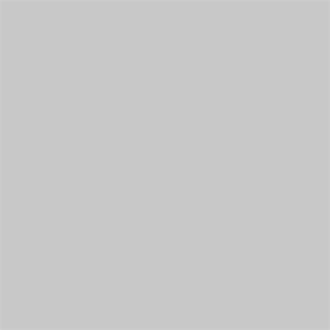 Superior Hintergrund Papier 42 Morning Mist 1,35 x 11m — 2