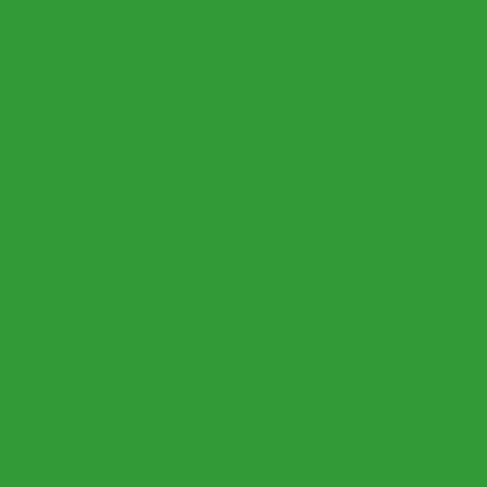 Superior Hintergrund Papier 54 Stinger Chroma Key 1,35 x 11m — 2