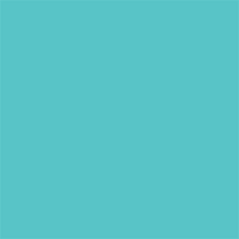 Superior Hintergrund Papier 55 Alpine 1,35 x 11m — 2