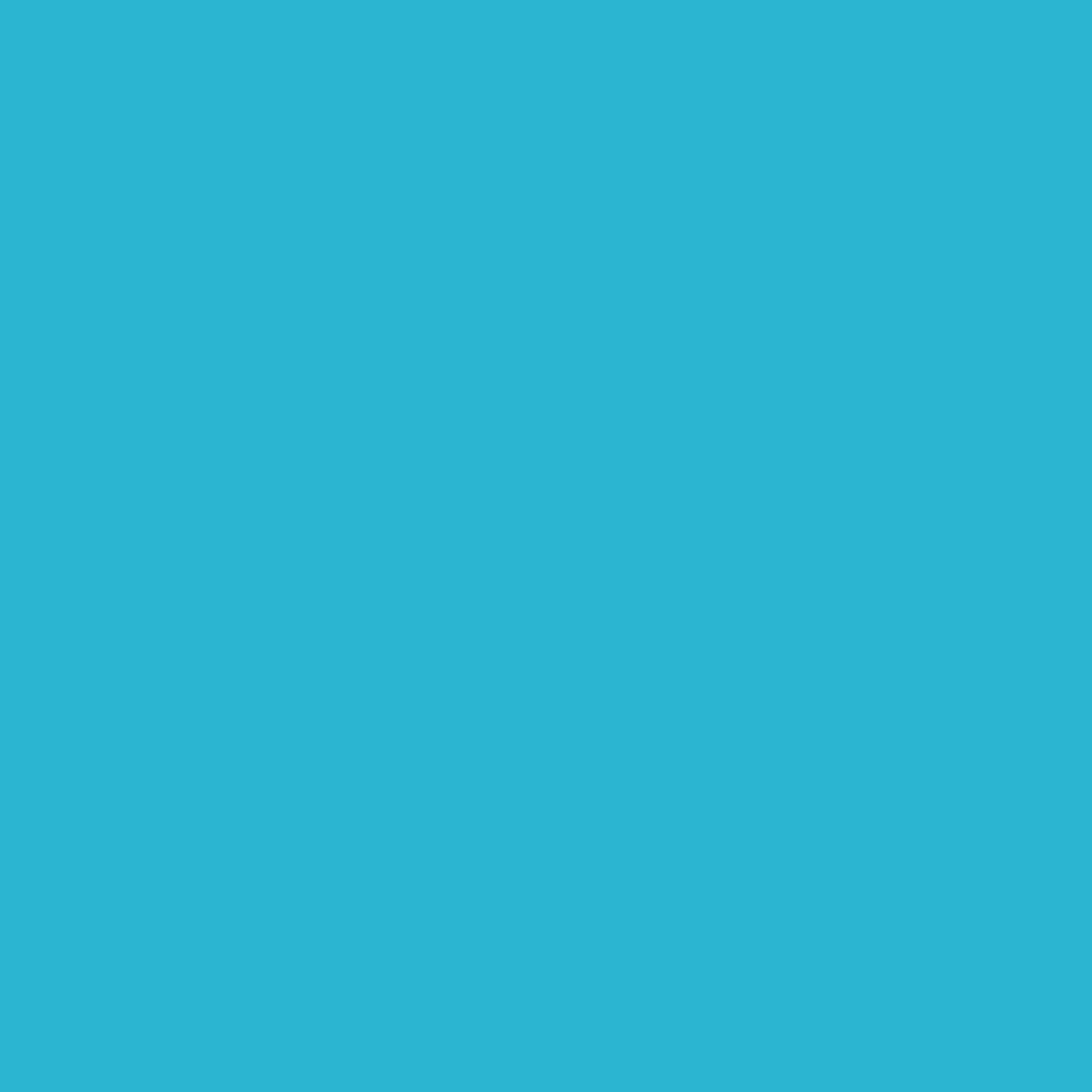 Superior Hintergrund Papier 60 Wedgewood 1,35 x 11m — 2