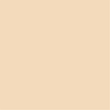 Superior Hintergrund Papier 64 Fawn 1,35 x 11m — 2