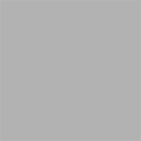 Superior Hintergrund Papier 72 Fossil Gray 1,35 x 11m — 2