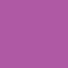 Superior Hintergrund Papier 76 Grape 1,35 x 11m — 2
