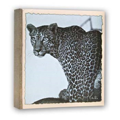 Zep WL57100 Album Slip-in 100 photos 13x19 cm - 12 Alben