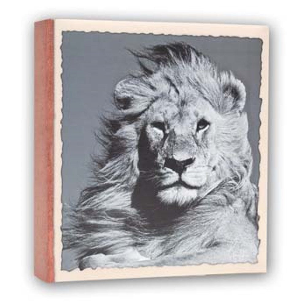 Zep WL57100 Album Slip-in 100 photos 13x19 cm - 12 Alben — 2
