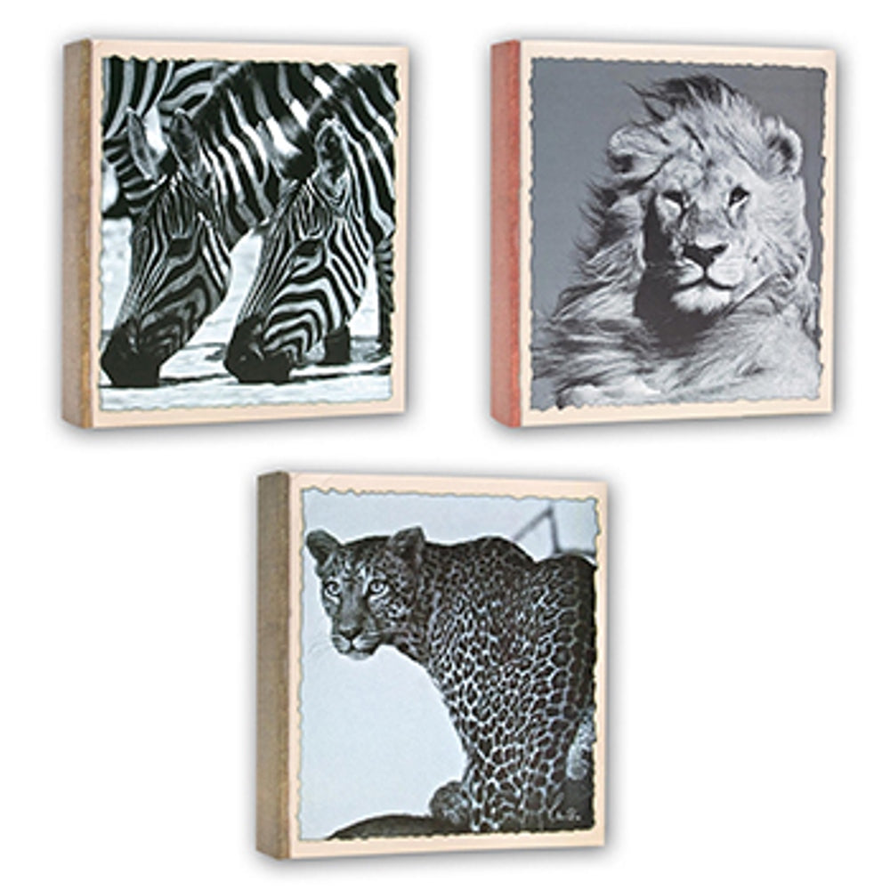 Zep WL57100 Album Slip-in 100 photos 13x19 cm - 12 Alben — 4