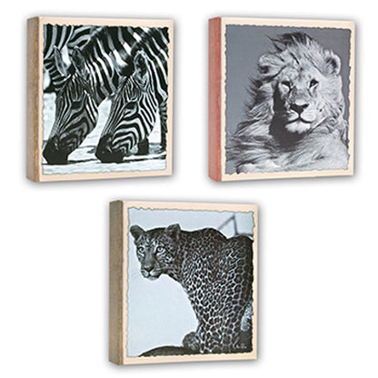Zep WL57100 Album Slip-in 100 photos 13x19 cm - 12 Alben — 4