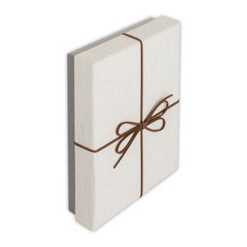 Zep Aufbewahrungskiste BX3514A Box Piacenza A 15,3x21,4x4 — 3