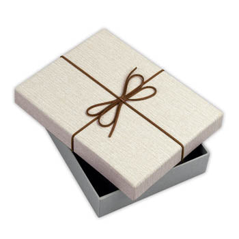 Zep Aufbewahrungskiste BX3514A Box Piacenza A 15,3x21,4x4 — 4