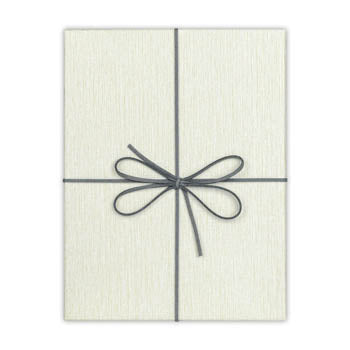 Zep Aufbewahrungskiste BX3514B Box Piacenza B 15,3x21,4x4 — 2