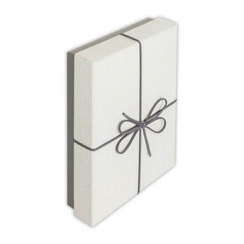 Zep Aufbewahrungskiste BX3514B Box Piacenza B 15,3x21,4x4 — 3