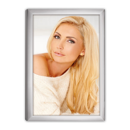 Zep 120S20-8R Silver Frame 20x25 cm